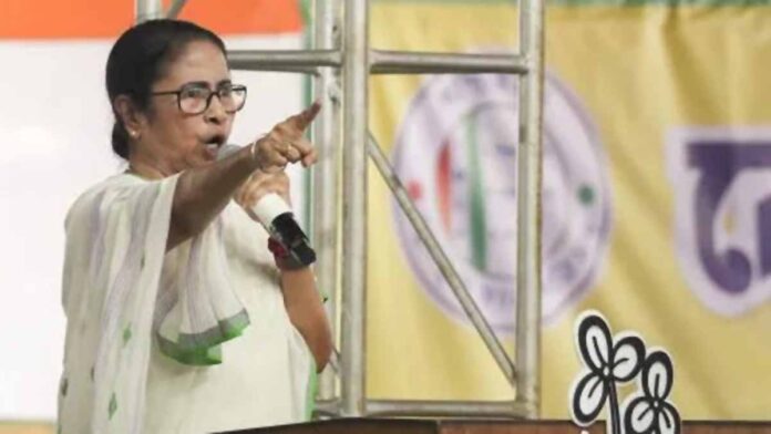 mamta banerjee