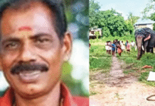 ആനയുടെ കുത്തേറ്റ് ഒന്നാം പാപ്പാൻ മരിച്ചു.